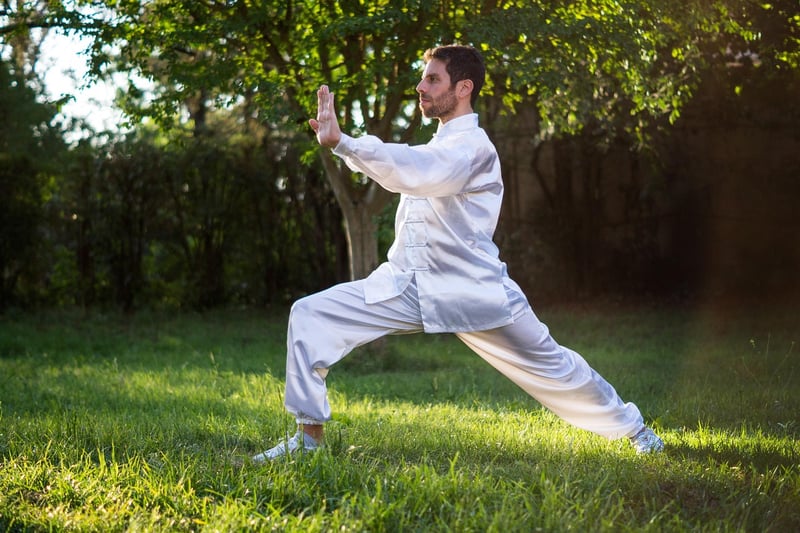 Yang Style Tai Chi Chuan